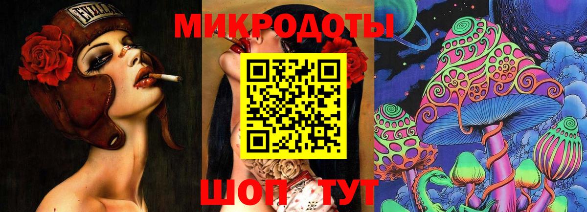 Галлюциногенные грибы Psilocybe Менделеевск