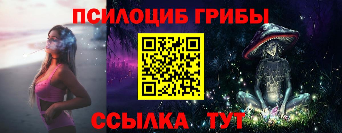 Галлюциногенные грибы мицелий  Галлюциногенные грибы Cubensis  Вход с VPN  Менделеевск 